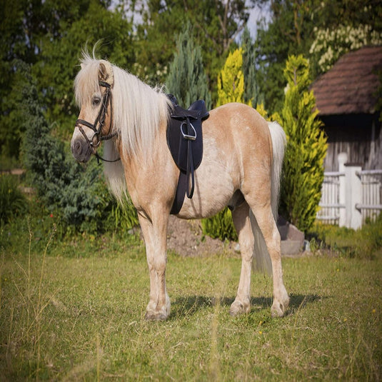 Een palomino pony met een Pony zadel economy zadel staande in een zonnig weiland.