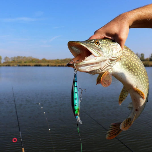 Een persoon houdt een vers gevangen vis met 3D vis en visaas in zijn mond, opgehangen tegen de achtergrond van een kalm meer onder een heldere hemel.