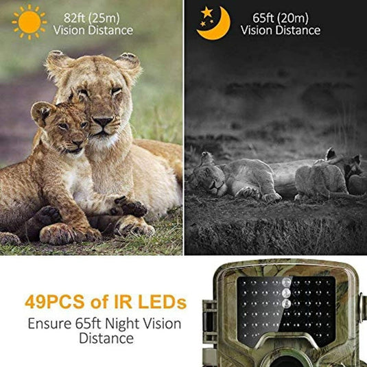 Leeuwin en welp bij daglicht; Krachtige wildcamera voorzien van infrarood LED's voor nachtelijke wildobservatie en uitgebreid detectiebereik.