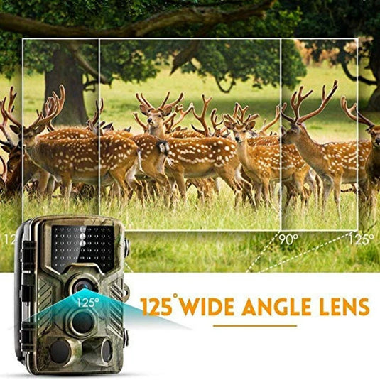 Krachtige wildcamera: vang al het wilde leven in beeld met een groothoeklens die een groep gevlekte herten in een grasveld vastlegt met infraroodfotografie.