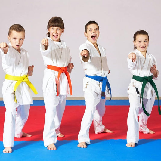2 Pcs 260cm Judo Karate Riem Martial Arts Sport Riemen Taekwondo Riemen Professioneel Karate Aikido Riem Dikke Stof White Belt Kinderen Volwassenen Kofun Martial Arts Riem - happygetfit.com
