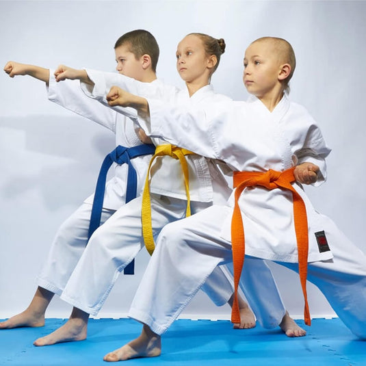 2 Pcs 260cm Judo Karate Riem Martial Arts Sport Riemen Taekwondo Riemen Professioneel Karate Aikido Riem Dikke Stof White Belt Kinderen Volwassenen Kofun Martial Arts Riem - happygetfit.com