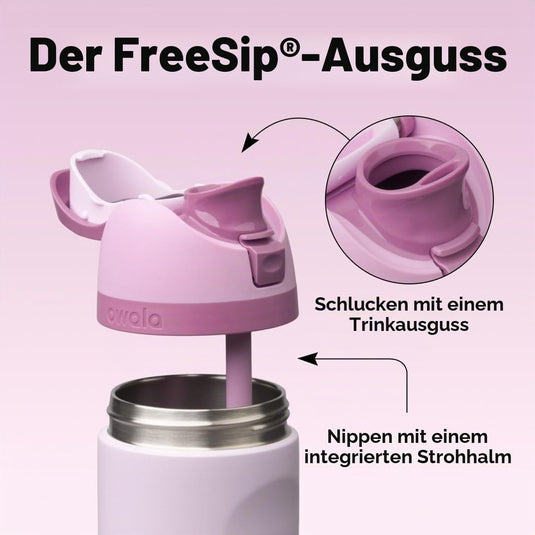Geïsoleerde RVS drinkfles 710 ml met rietje en lekvrije dop – waterfles – thermosfles