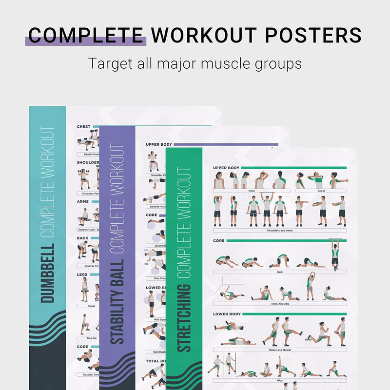 Load image into Gallery viewer, FitMate 8-Pack Workout Exercise Poster Bundle Set - Dumbbell, Barbell, Bodyweight, Kettlebell, and More Fitness Gym Workout Routine with Free Weights, Home Gym Decor, Room Guide (16.5 x 25 Inch)
