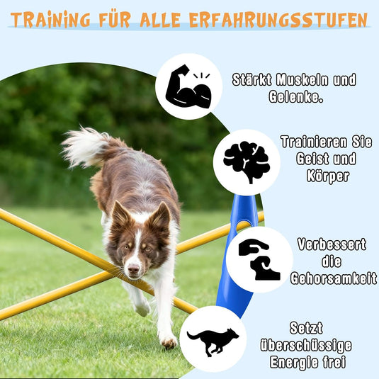 Agility hindernisset met 8 kegels en 8 verstelbare stangen 32 cm – hondentraining – sporthorden