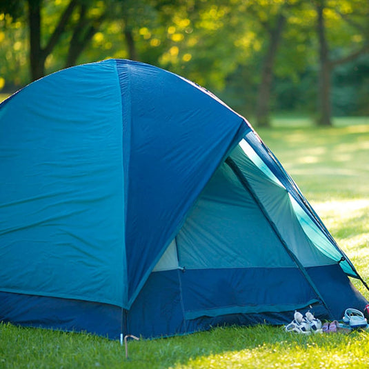 Piquets de tente, 6 pièces en titane de 169 mm avec tête en forme de crochet – ancrage de tente – équipement de camping