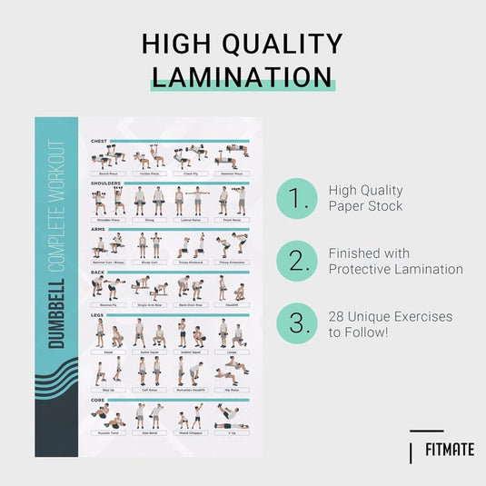 Ontdek de "Transformeer je workout met de 8-delige fitnessposter bundel", met een oefeningenkaart met 28 dumbbell-work-outs voor borst, schouders, armen, rug, benen en core op gelamineerd papier van hoge kwaliteit ter ondersteuning van je fitnessdoelen in thuisfitness.