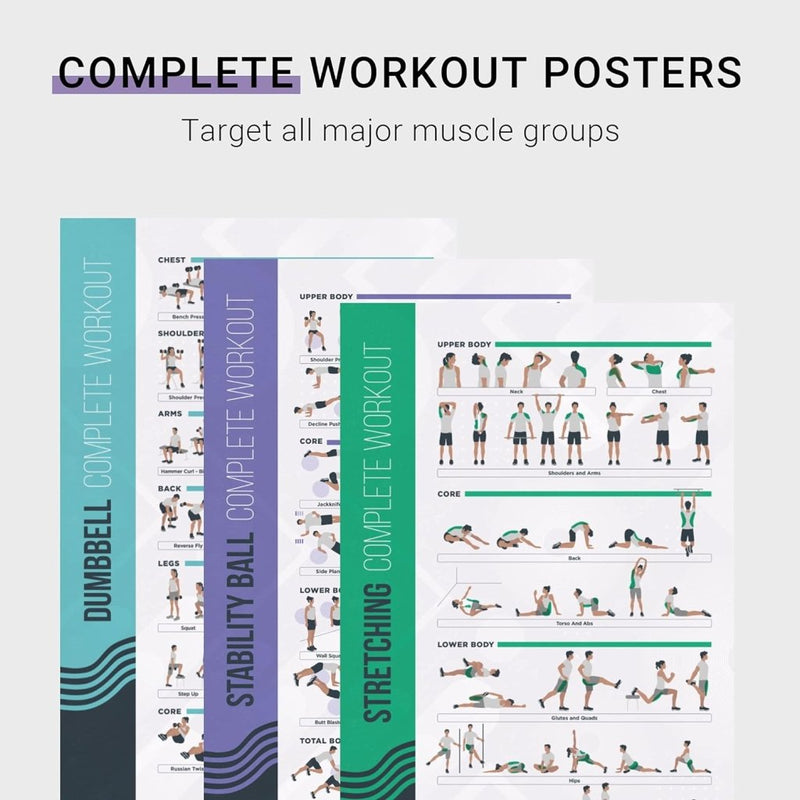 Laad afbeelding in Galerijviewer, De &quot;Transformeer je workout met de 8-delige fitnessposter bundel&quot; bevat posters voor halter-, stabiliteitsbal- en rekoefeningen, gericht op borst, schouders, armen, rug, benen, bovenlichaam, core en onderlichaam. Perfect om thuis je fitnessdoelen te bereiken.
