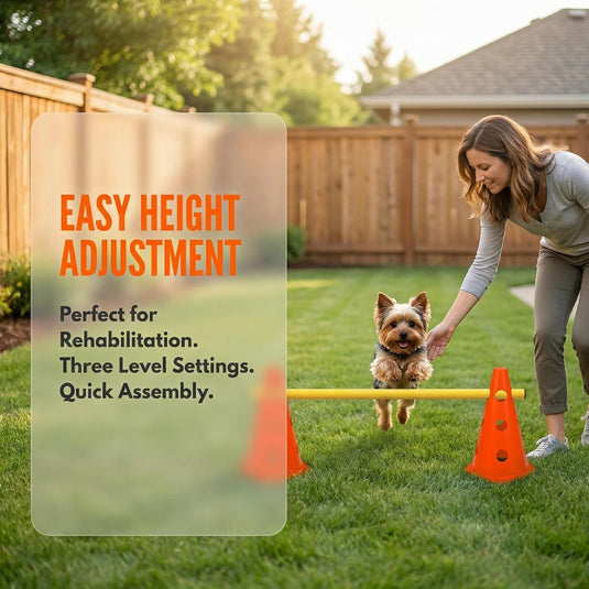Agility hindernisset met 10 kegels en 5 verstelbare stangen oranje – hondentraining – sporthorden