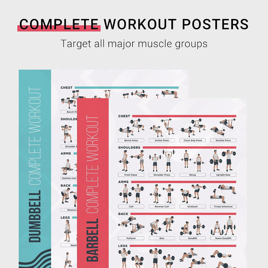 FitMate halter- en halterstang-trainingsposter, set van 2, trainingsroutine met vrije gewichten, decoratie voor sportruimte thuis, referentiegids (51 x 76 cm)