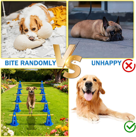 Agility hindernisset met 10 kegels en 5 verstelbare stangen oranje – hondentraining – sporthorden