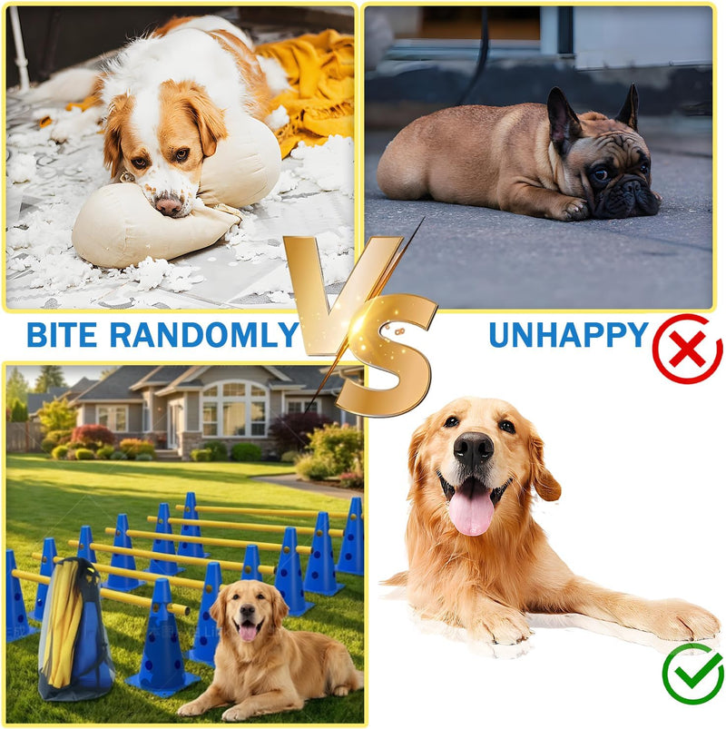 Chargez l'image dans la visionneuse de la galerie, Agility hindernisset met 10 kegels en 5 verstelbare stangen oranje – hondentraining – sporthorden
