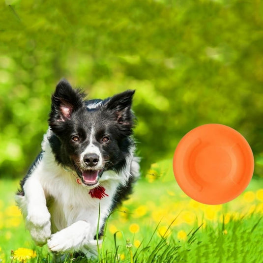 8x mini frisbee 6,5 cm – flexibele siliconen werpschijven voor kinderen, volwassenen en huisdieren - happygetfit.com