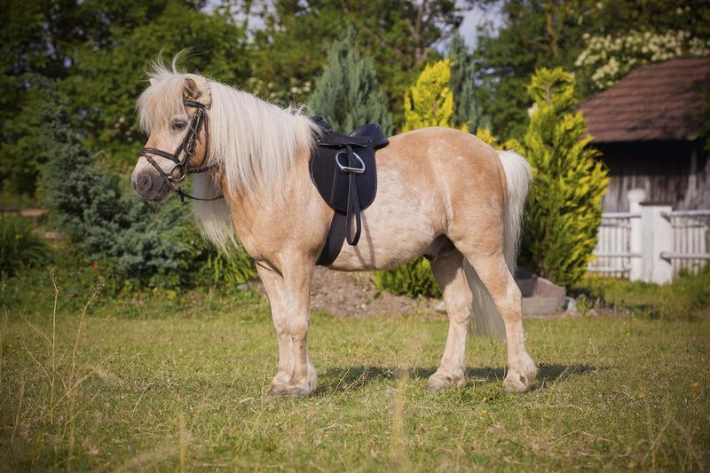 Laad afbeelding in Galerijviewer, Covalliero Kerbl Zadelset Economy Pony, zwart, 325415
