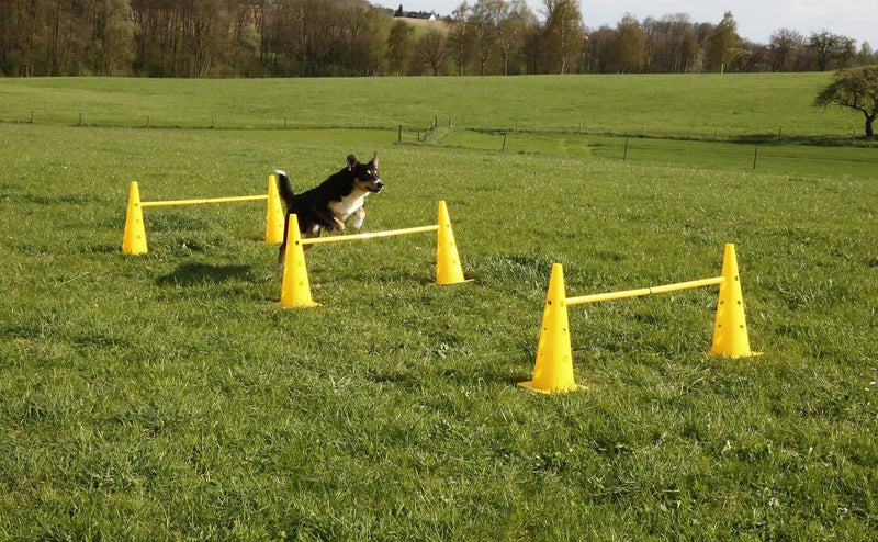 Laden Sie das Bild in Galerie -Viewer, Agility horden set met 6 pylonen en 3 verstelbare stangen geel – hondentraining – behendigheidsset
