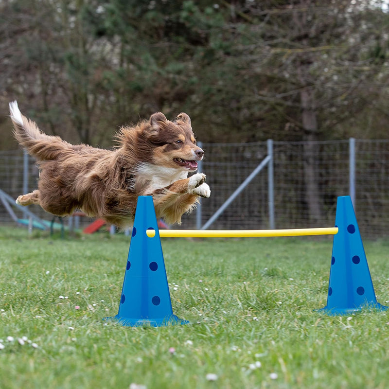 Load image into Gallery viewer, Agility hindernisset 18-delig met 12 pionnen en 6 stokken – hondentraining – sporthorden
