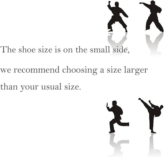 APIKA Chinese Traditionele Oude Peking Schoenen Kung Fu Tai Chi Schoenen Rubberen Zool Unisex Zwart - happygetfit.com