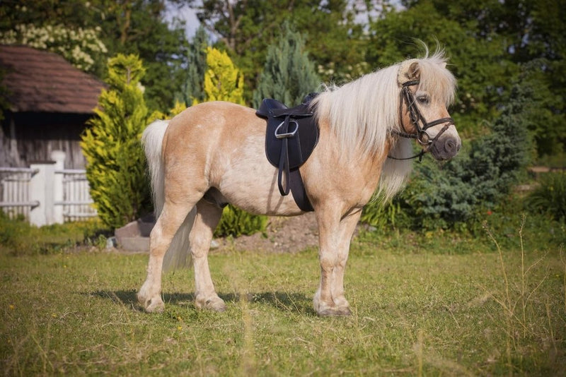 Laad afbeelding in Galerijviewer, Covalliero Kerbl Zadelset Economy Pony, zwart, 325415 - happygetfit.com
