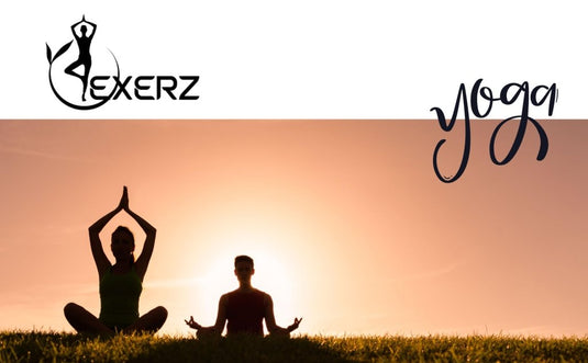 EXERZ Yoga Blocks 2 pack, Gym Blocks, Exercise Workout Fitness Bricks, Pilates Stretch Handstand Non-Slip - happygetfit.com