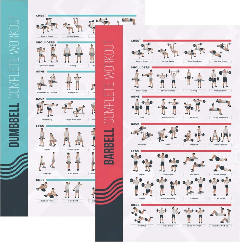Laad afbeelding in Galerijviewer, FitMate halter- en halterstang-trainingsposter, set van 2, trainingsroutine met vrije gewichten, decoratie voor sportruimte thuis, referentiegids (51 x 76 cm) - happygetfit.com
