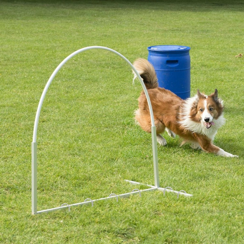 Carica immagine in Galleria Viewer, Grondankers 10 stuks heavy duty van verzinkt staal – U-vormige trampoline haringen – tuinankers - happygetfit.com
