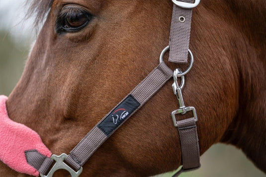 HKM Holster met gebreide karabijnhaak & vliegenfranjes, grijs/roze, pony - happygetfit.com