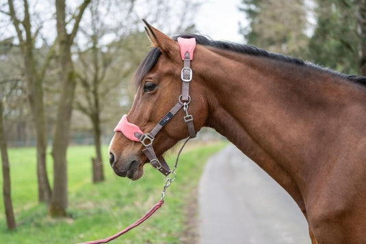 HKM Holster met gebreide karabijnhaak & vliegenfranjes, grijs/roze, pony - happygetfit.com