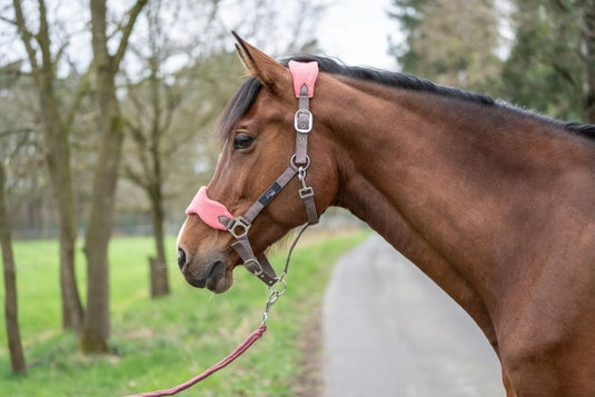 HKM Holster met gebreide karabijnhaak & vliegenfranjes, grijs/roze, pony - happygetfit.com