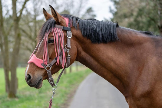 HKM Holster met gebreide karabijnhaak & vliegenfranjes, grijs/roze, pony - happygetfit.com