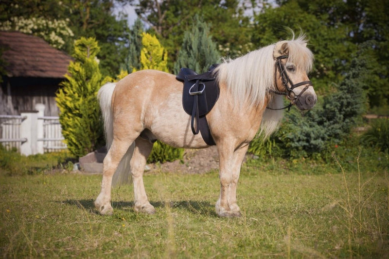 Laad afbeelding in Galerijviewer, Kerbl Economy Pony 325415 Saddle Set, Black - happygetfit.com
