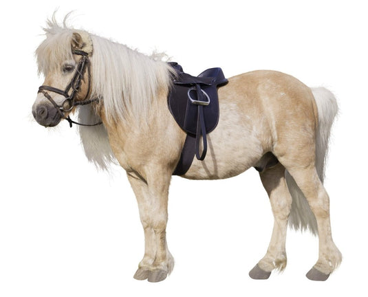 Kerbl Economy Pony 325415 Saddle Set, Black - happygetfit.com