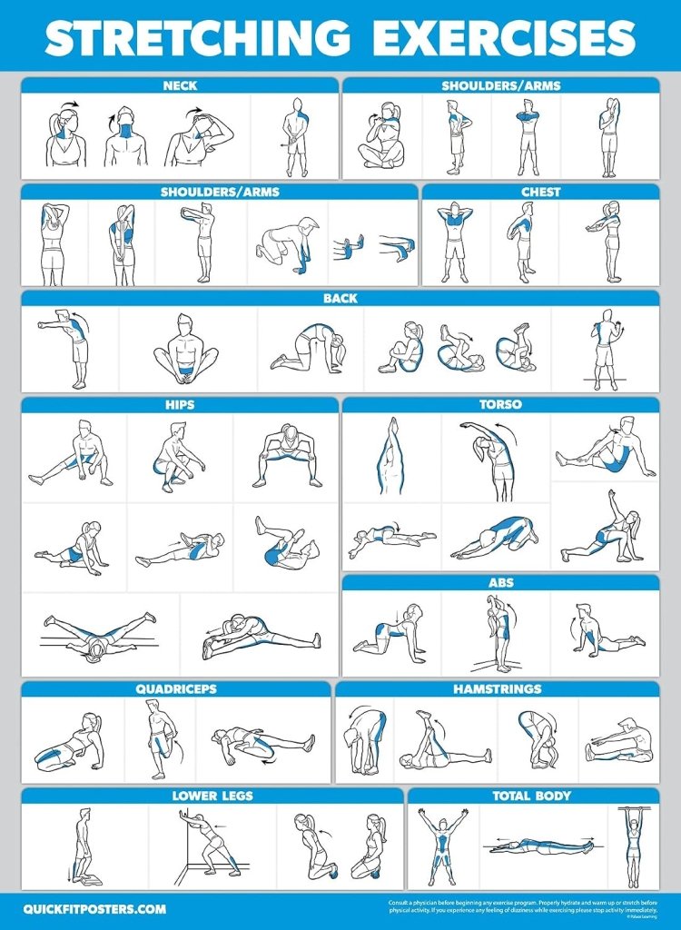 Laad afbeelding in Galerijviewer, Workout posters set van 4 gelamineerd 45,7 x 61 cm - happygetfit.com
