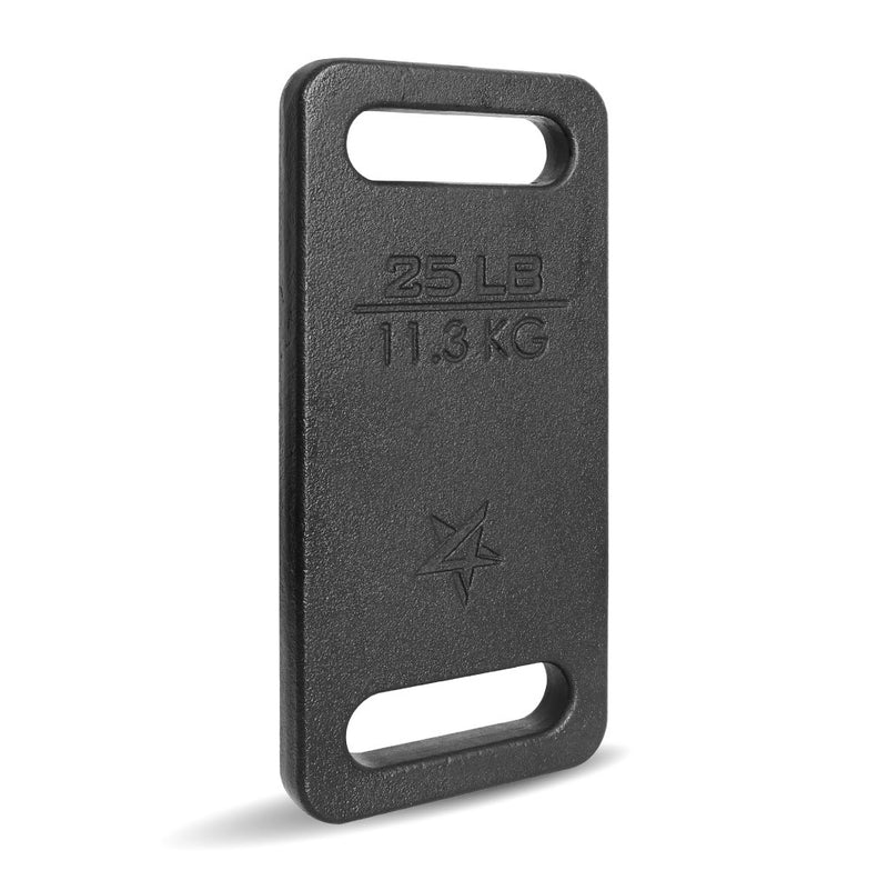 Laad afbeelding in Galerijviewer, Yes4All Cast Iron Rucking Weight for Backpack, Training Weight Plate with Ergonomic Rounded Handle, Protective Glossy Finish for Weighted Walking, Hiking, Rucking, Resistance Workout - happygetfit.com

