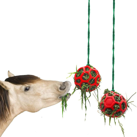 Een paard reikt naar een groen Paardentraktatiebal voor stressvermindering en paarden speelgoed tegen verveling, hangend aan een touw tegen een witte achtergrond.