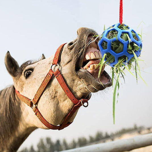 Een grijs paard met een rood halster bijt een Paardentraktatiebal voor stressvermindering en paarden speelgoed tegen verveling - 2 stuks met groen gras eraan hangend, tentoongesteld tegen een heldere hemelachtergrond.