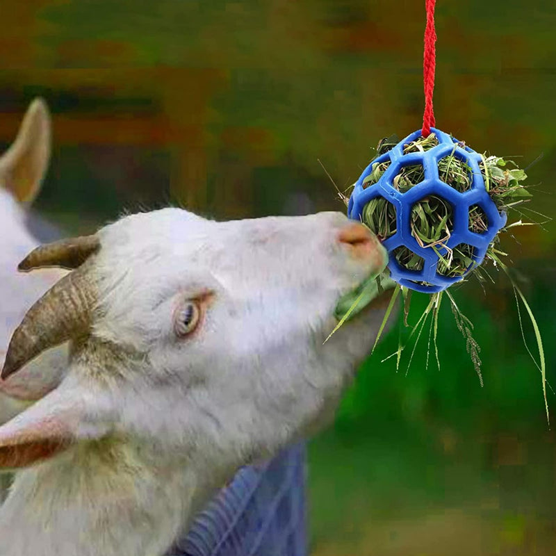 Load image into Gallery viewer, Een geit die aan hooi knabbelt aan een hangende blauwe Paardentraktatiebal voor stressvermindering en paarden speelgoed tegen verveling - 2 stuks.
