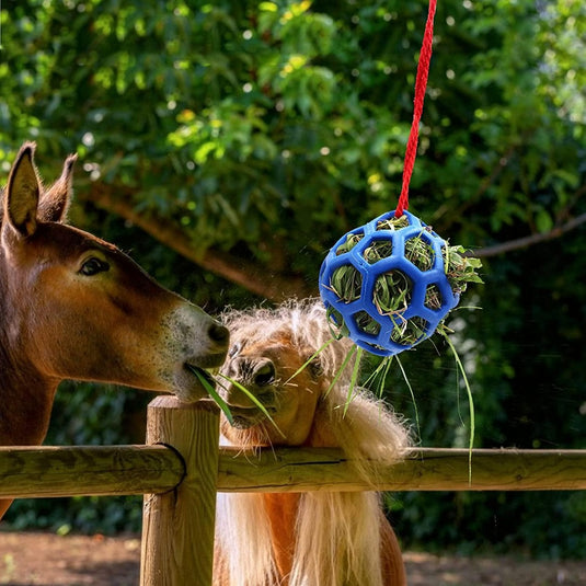 Een bruin paard en een Shetland-pony knabbelen aan hooi gevuld in een blauwe Paardentraktatiebal voor stressvermindering en paarden speelgoed tegen verveling - 2 stuks feeder vastgebonden met een rood touw buitenshuis.