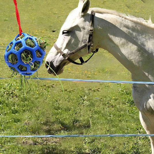 Een wit paard dat gras eet van een blauwe Paardentraktatiebal voor stressvermindering en paarden speelgoed tegen verveling - 2 stuks in een zonnige weide.