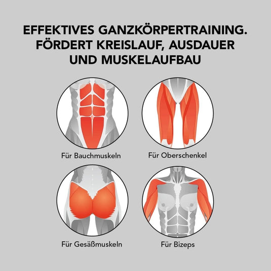 Illustratie van gerichte spiergroepen tijdens het trainen op een Met dit klaproeiapparaat: buik-, dij-, bil- en bicepsspieren.