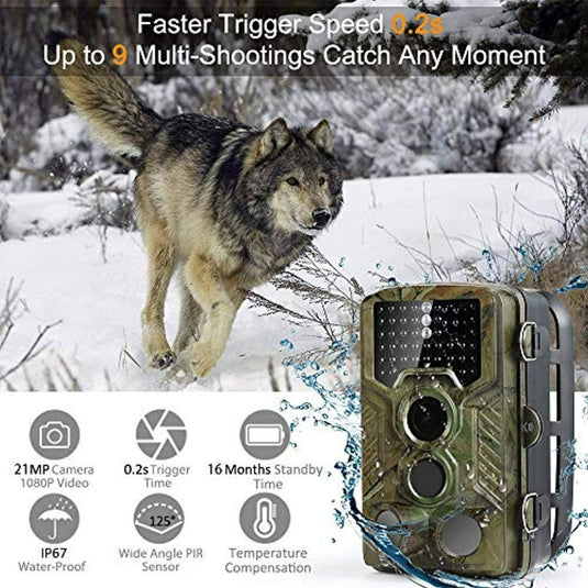 Een Krachtige wildcamera met een wolf op de achtergrond, die beelden vastlegt binnen zijn IR-flitsbereik (infrarood flitsbereik) voor breed detectiebereik.